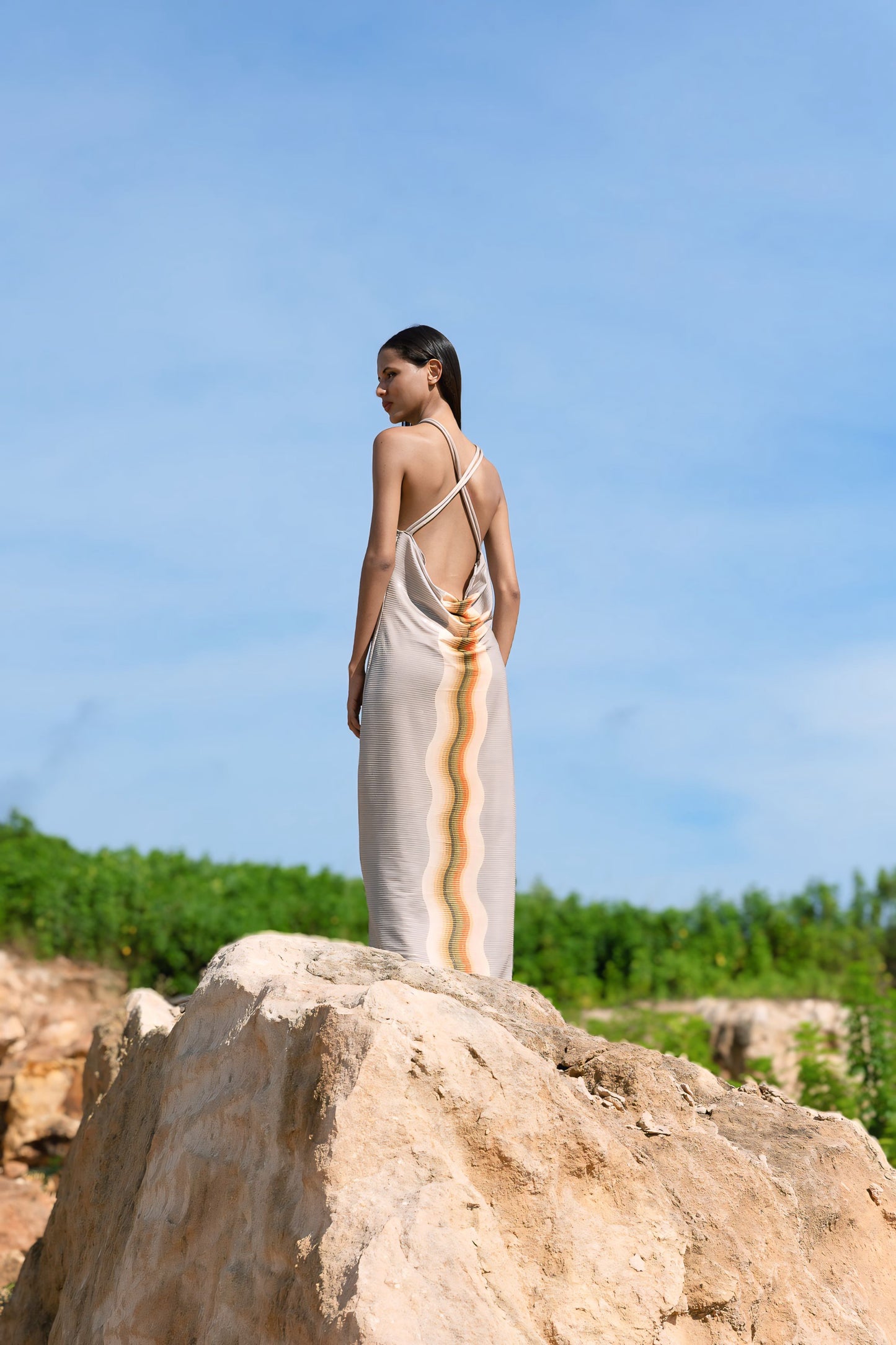 Tigre Silver Dress