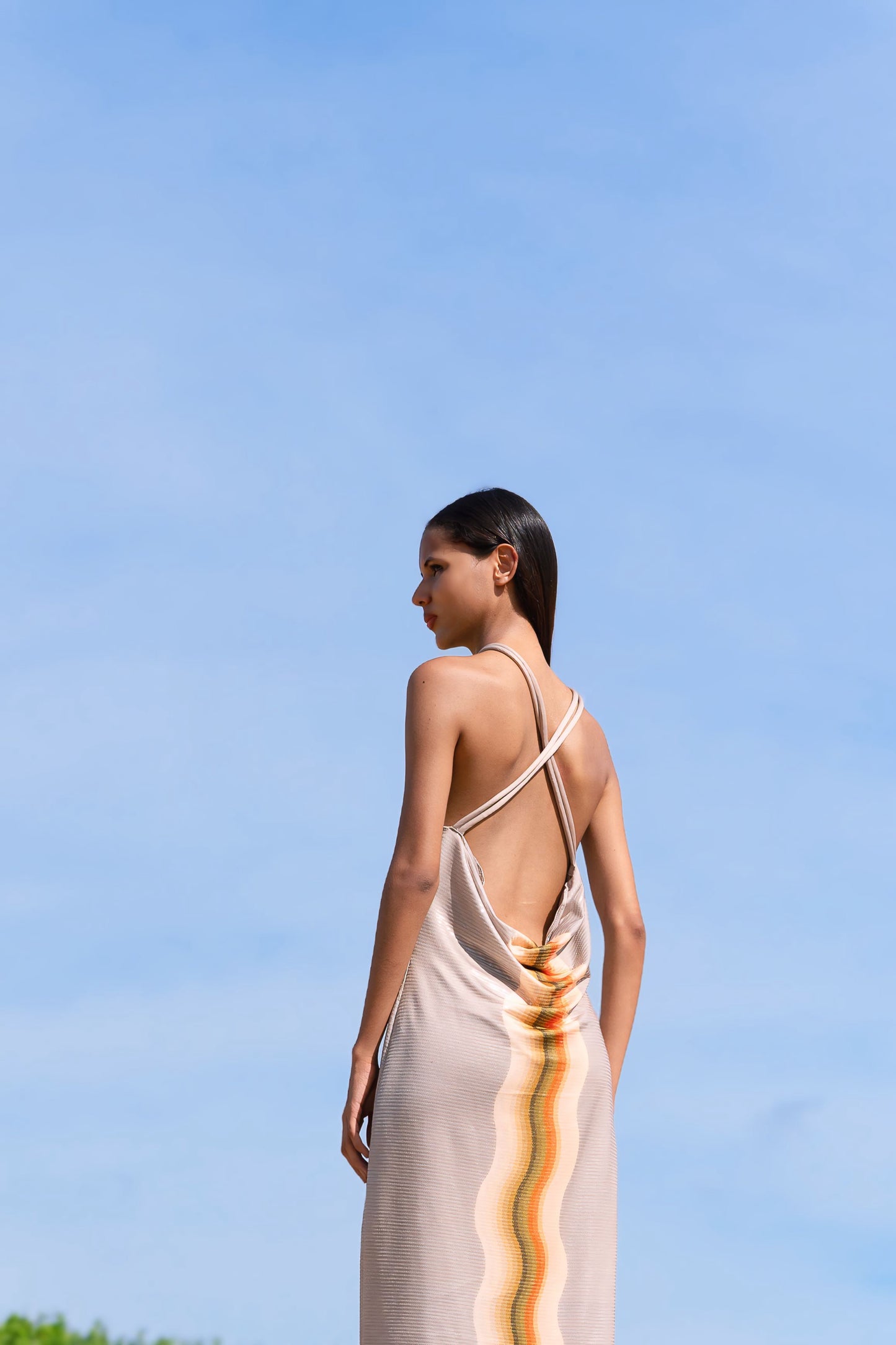 Tigre Silver Dress