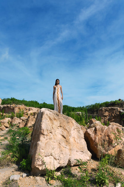 Tigre Silver Dress