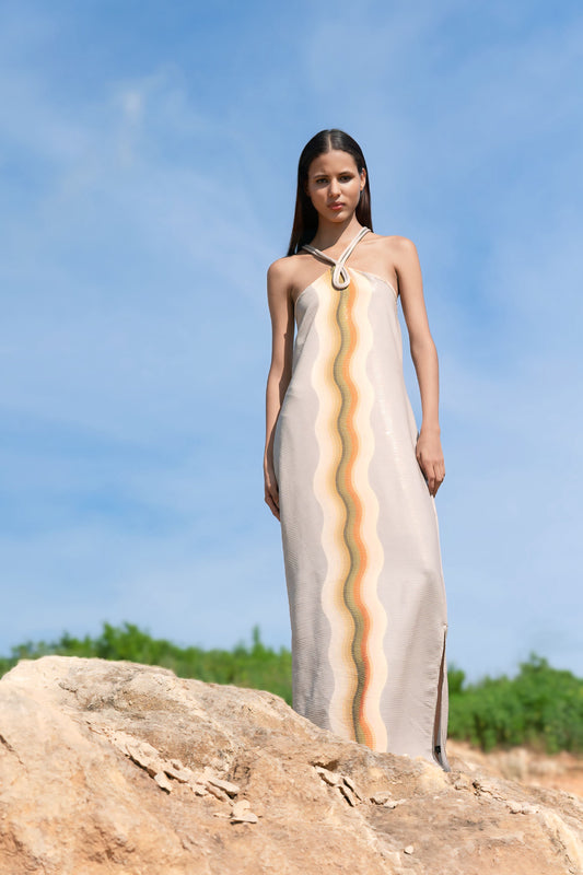 Tigre Silver Dress